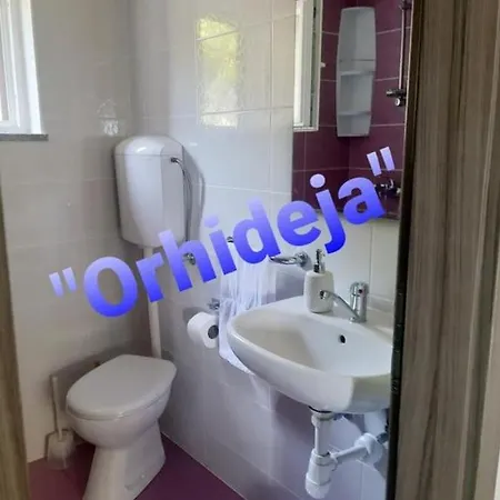 In With Sea View, Terrace, Air Conditioning, Wifi 5130-2