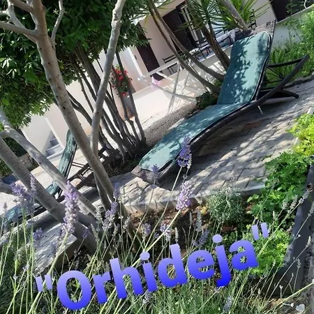 In With Sea View, Terrace, Air Conditioning, Wifi 5130-2 *
